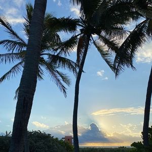 Meet your Posher, Ari